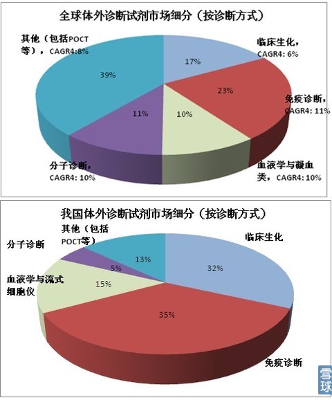 海外体外星空(中国)市场